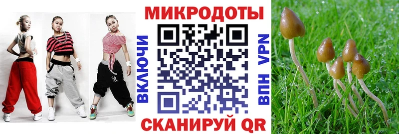 Купить закладки  Карасук  Галлюциногенные грибы Cubensis 